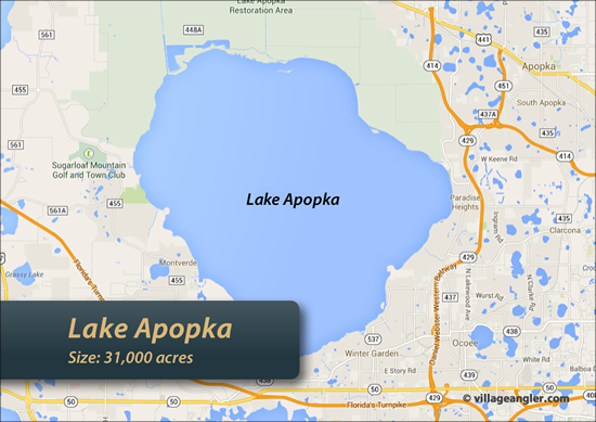 Lake Apopka