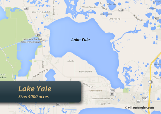 Lake Yale